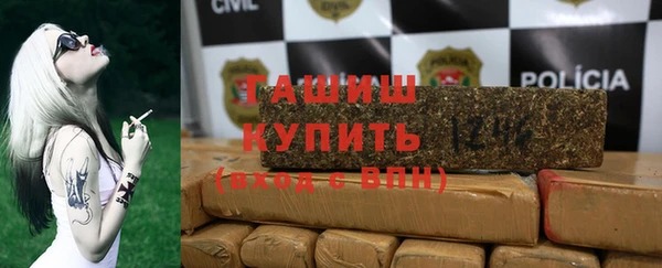 индика Туринск