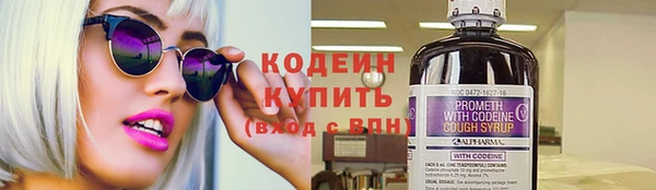 гашик Верея